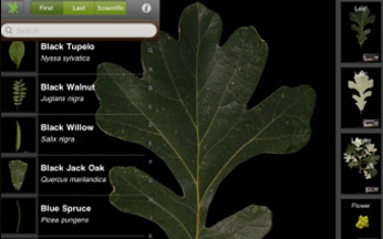 App – Leafsnap